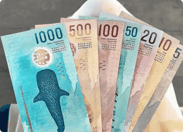 怎么控制美元汇率