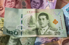 越南盾汇率形成机制的历程及动因，未来越南盾